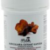 Hawlik Auricularia Extrakt Kapseln