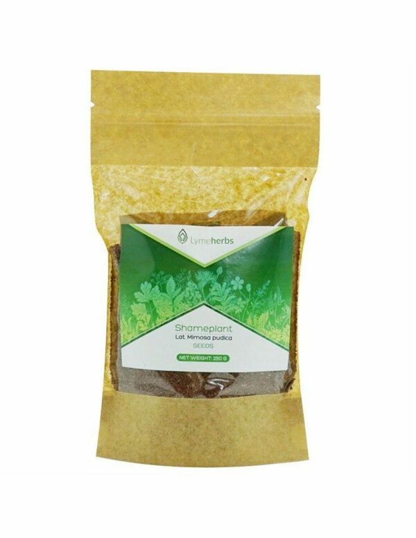 Lymeherbs Mimose Pudica getrocknete Samen