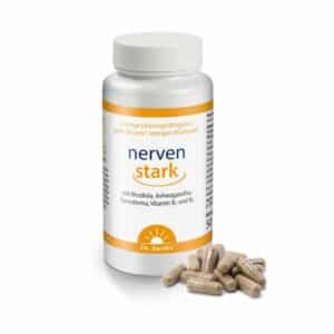 Dr. Jacob's nervenstark – Rosenwurz (Rhodiola) Ashwaganda Reishi-Pilz Vitamin B1