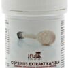 Hawlik Coprinus Extrakt Kapseln