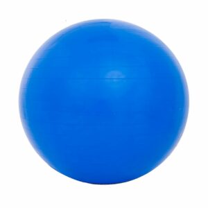 Sport-Knight® Gymnastikball mit Fußpumpe Blau 65cm