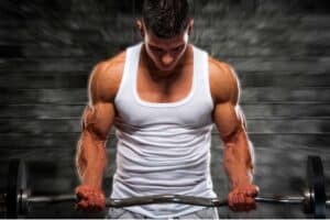 Wie wachsen Muskeln?